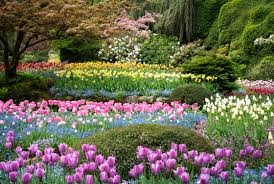 Butchart gardens